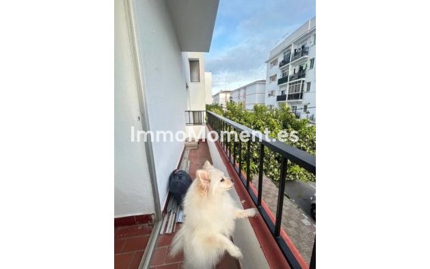 Bestaande woning - Appartement - Estepona  - Estepona Centro