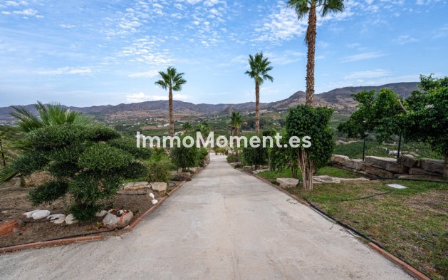 Revente - Maison de campagne - Intérieur                       - Pizarra