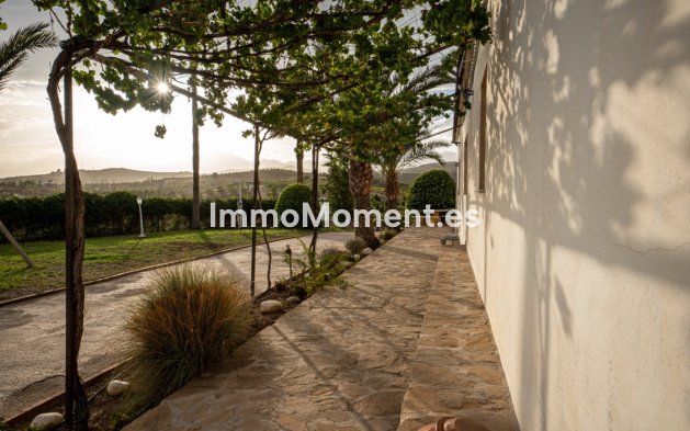 Revente - Maison de campagne - Intérieur                       - Pizarra