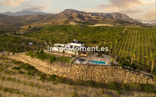 Revente - Maison de campagne - Intérieur                       - Pizarra