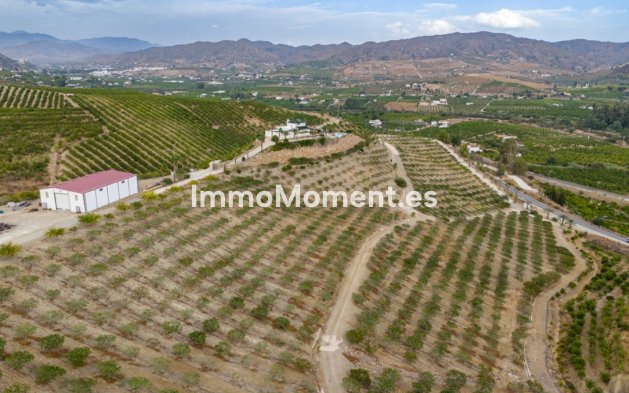 Revente - Maison de campagne - Intérieur                       - Pizarra