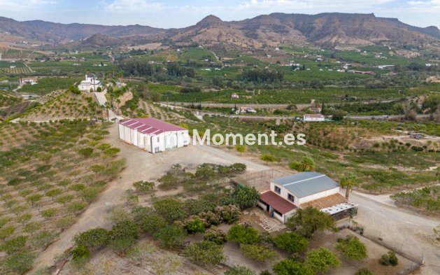 Revente - Maison de campagne - Intérieur                       - Pizarra