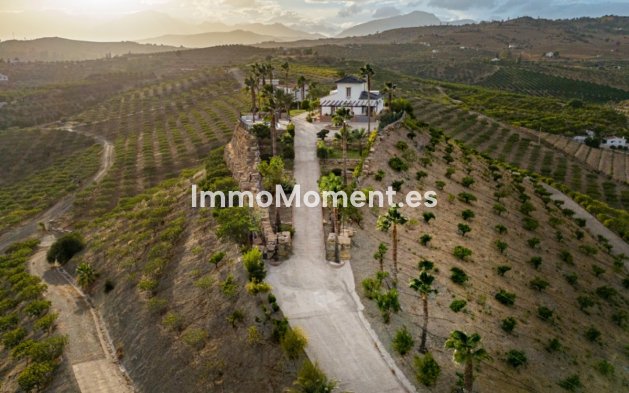 Revente - Maison de campagne - Intérieur                       - Pizarra