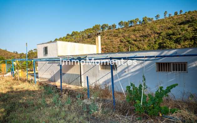 Wiederverkauf - Wohnung -   Inländisch - Ojén