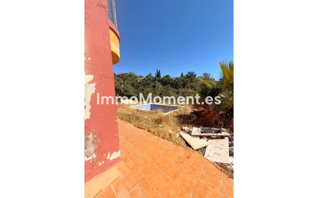 Neubau - Villa - Marbella - Elviria