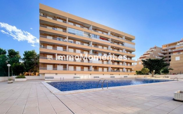 Revente - Appartement - Orihuela - Punta Prima