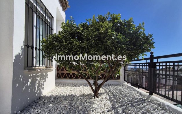 Bestaande woning - Appartement - Benalmadena - Benalmadena Centro