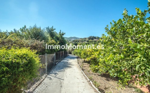 Revente - Maison de campagne - Intérieur                       - Coín