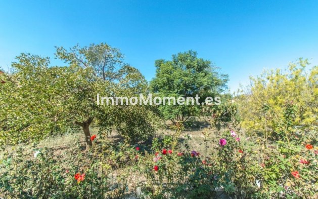 Revente - Maison de campagne - Intérieur                       - Coín