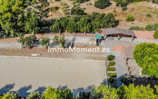 Revente - Maison de campagne - Intérieur                       - Coín