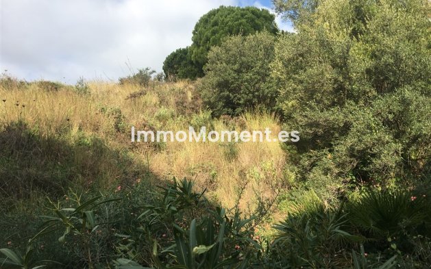 Wiederverkauf - Land - Mijas - Mijas Centro