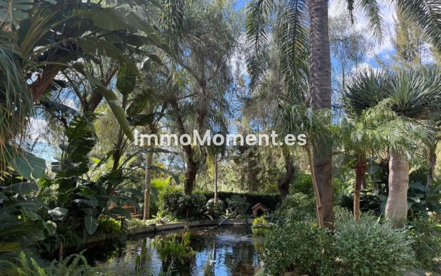 Bestaande woning - Appartement - Marbella - Marbella Centro