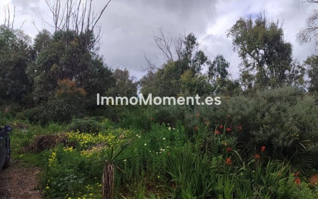 Wiederverkauf - Land - Manilva - Manilva Centro