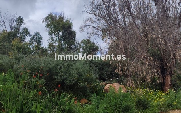 Wiederverkauf - Land - Manilva - Manilva Centro