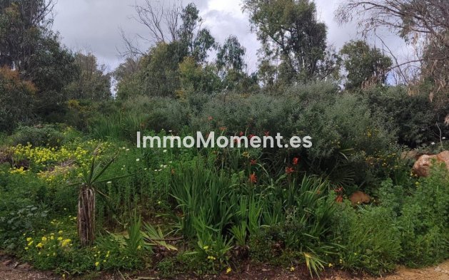 Wiederverkauf - Land - Manilva - Manilva Centro