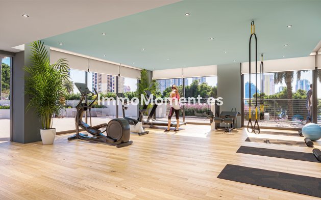 Obra nueva - Ático - Benidorm