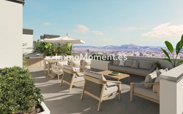Construction neuve - Penthouse - Alicante - Alicante (Alacant)