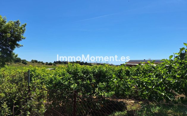 Construction neuve - Maison de campagne - Estepona  - Estepona Centro