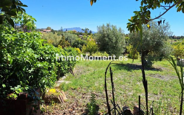 Construction neuve - Maison de campagne - Estepona  - Estepona Centro