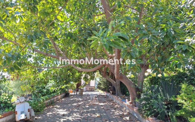 Construction neuve - Maison de campagne - Estepona  - Estepona Centro