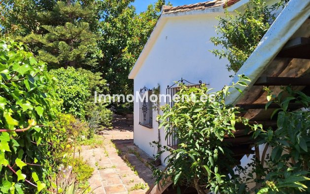 Construction neuve - Maison de campagne - Estepona  - Estepona Centro