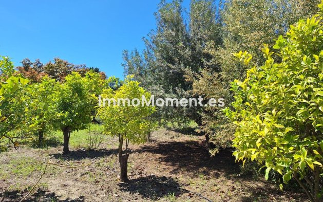 Construction neuve - Maison de campagne - Estepona  - Estepona Centro