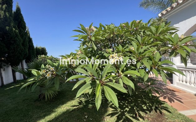 Bestaande woning - Landhuis - Estepona  - Estepona Centro