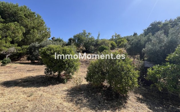 Bestaande woning - Landhuis - Estepona  - Estepona Centro