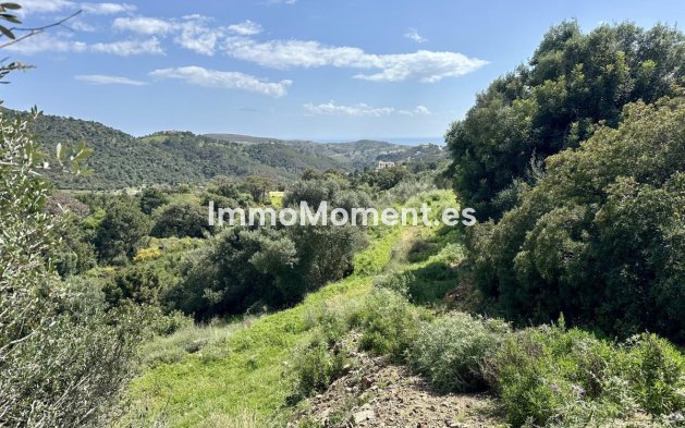 Revente - Terrain - Benahavís - Benahavís Centro