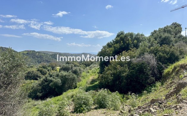 Revente - Terrain - Benahavís - Benahavís Centro