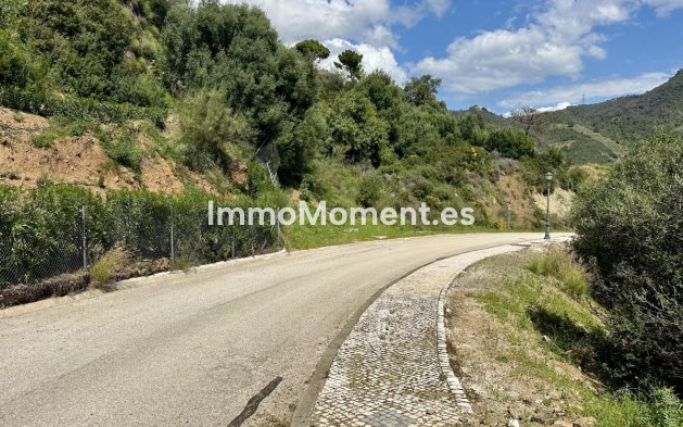 Revente - Terrain - Benahavís - Benahavís Centro