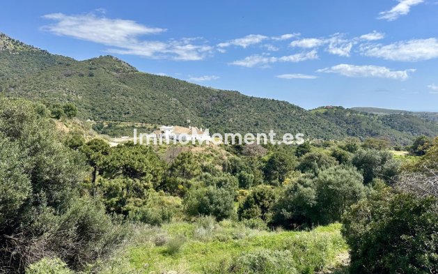 Revente - Terrain - Benahavís - Benahavís Centro