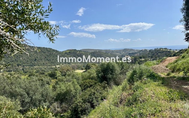 Revente - Terrain - Benahavís - Benahavís Centro