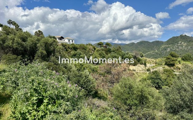 Revente - Terrain - Benahavís - Benahavís Centro