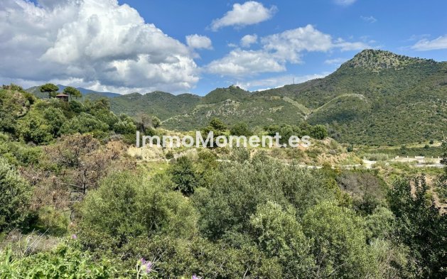 Revente - Terrain - Benahavís - Benahavís Centro