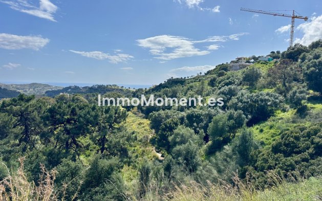 Revente - Terrain - Benahavís - Benahavís Centro