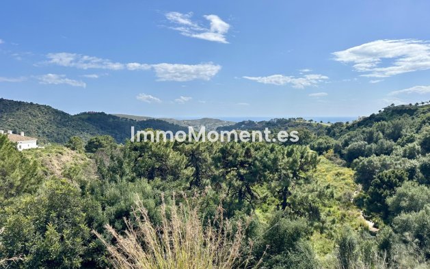 Revente - Terrain - Benahavís - Benahavís Centro