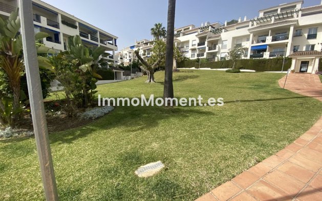 Bestaande woning - Appartement - Marbella - Nueva Andalucía