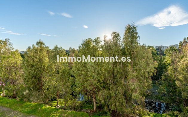 Resale - Apartment - Marbella - Guadalmina Alta