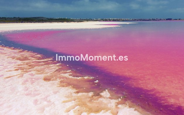 Reventa - Apartamento - Orihuela - Villamartin