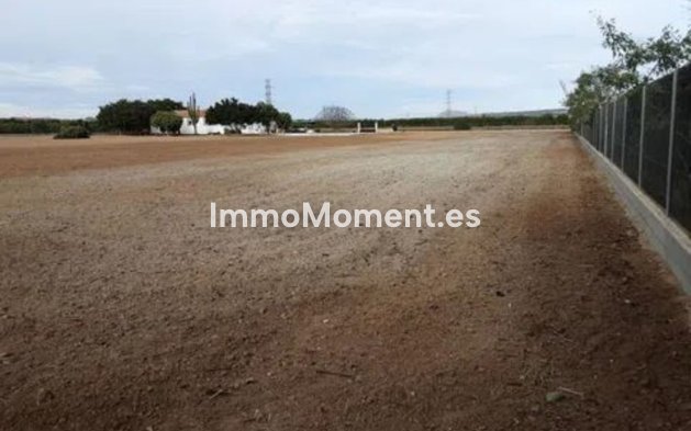 Revente - Villa - San Miguel de Salinas - San Miguel de Salinas Centro