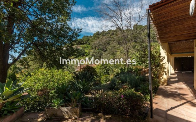 Revente - Maison de campagne - Intérieur                       - Ojén