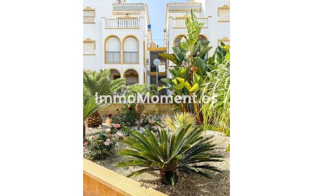 Wiederverkauf - Wohnung - Torrevieja - Torrevieja Centro