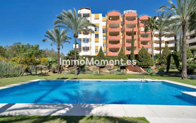 Reventa - Apartamento - Estepona  - Estepona Centro
