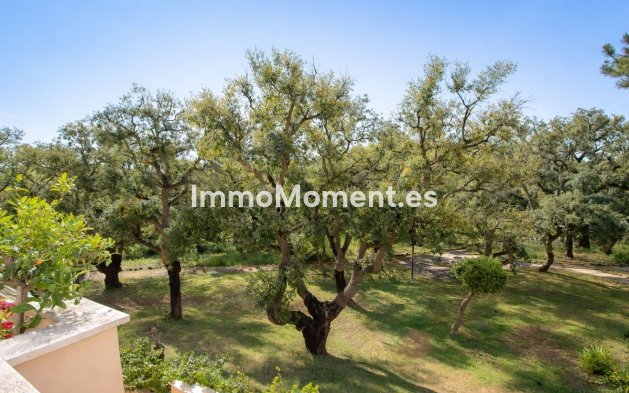 Resale - Apartment - Marbella - Elviria