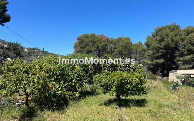 Wiederverkauf - Villa - Novelda - Estación