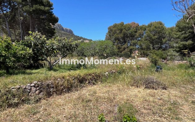 Wiederverkauf - Villa - Novelda - Estación