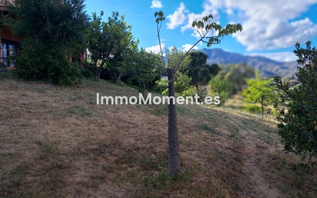 Bestaande woning - Landhuis - Mijas - La Cala de Mijas