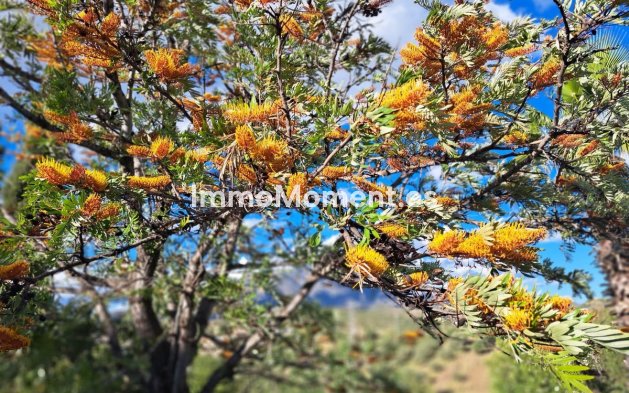 Bestaande woning - Landhuis - Mijas - La Cala de Mijas