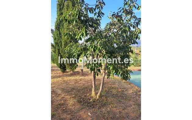 Bestaande woning - Landhuis - Mijas - La Cala de Mijas